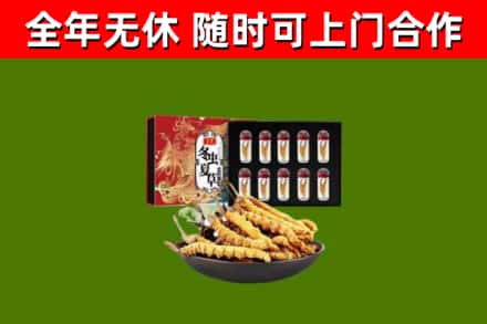 罗定市烟酒回收冬虫夏草礼盒.jpg